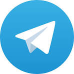 Station Casinos Telegram Bot